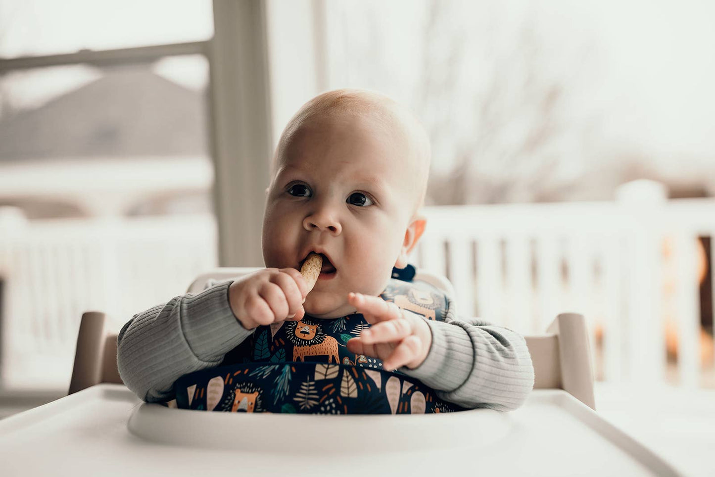 Three Little Tots -Zoo Lion Print Silicone Bib with Crumb Catcher