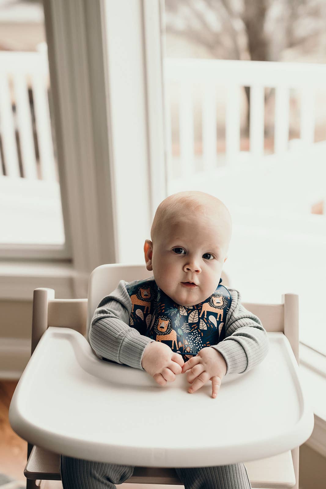 Three Little Tots -Zoo Lion Print Silicone Bib with Crumb Catcher