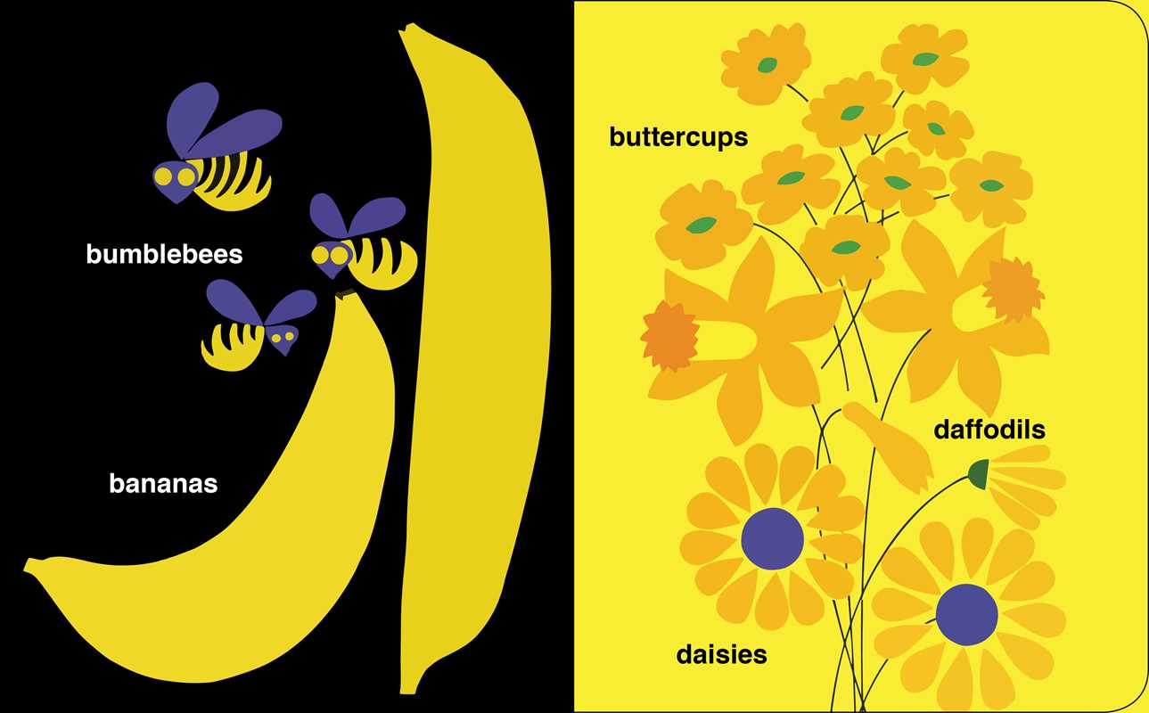 Colors by John J. Reiss: Board Books; 34 pages / English