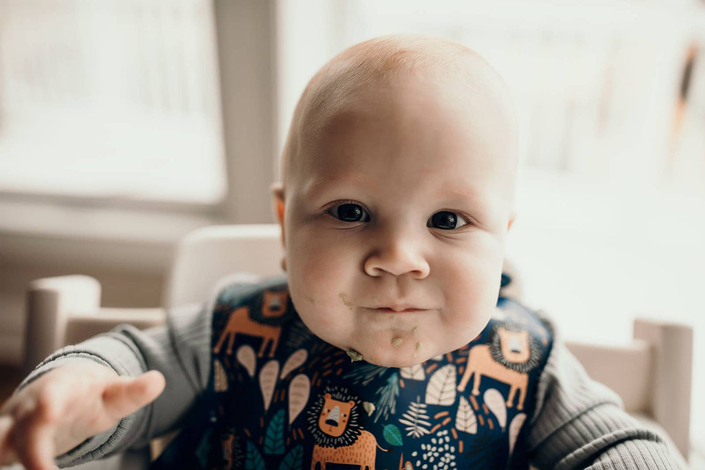 Three Little Tots -Zoo Lion Print Silicone Bib with Crumb Catcher