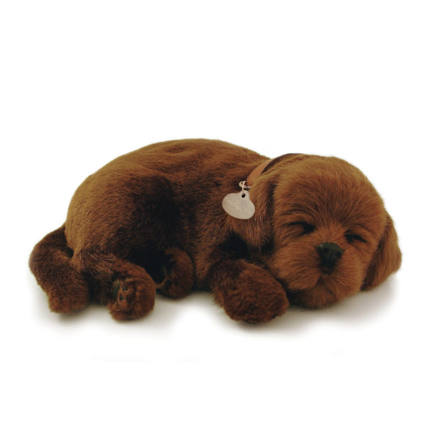 New Perfect Petzzz - Chocolate Lab Large