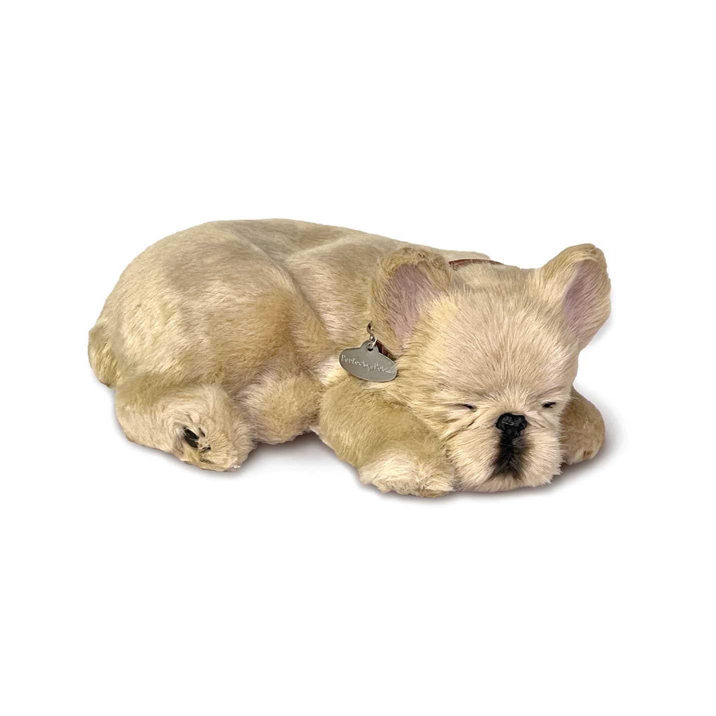 French Bulldog Large