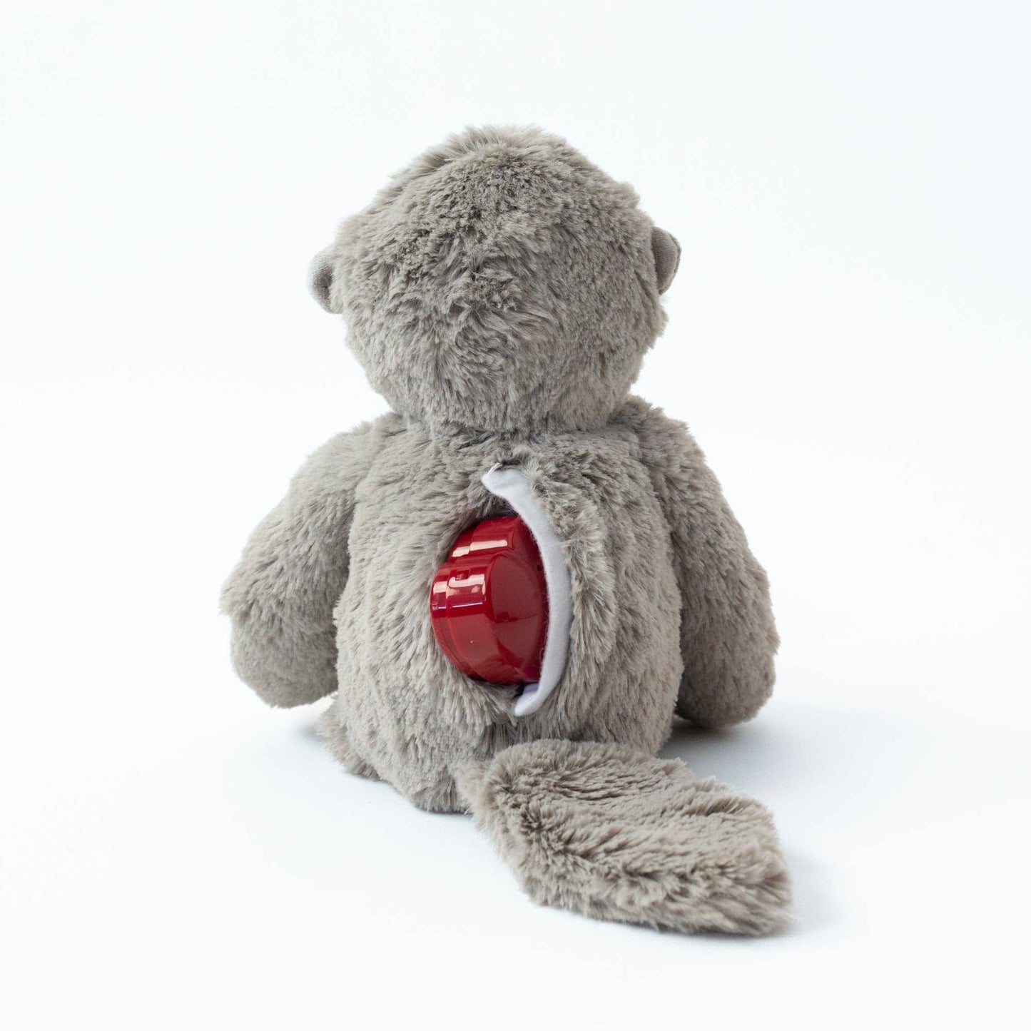 Otter's Messages From The Heart: Recordable Otter Connection 2-Books by Slumberkins