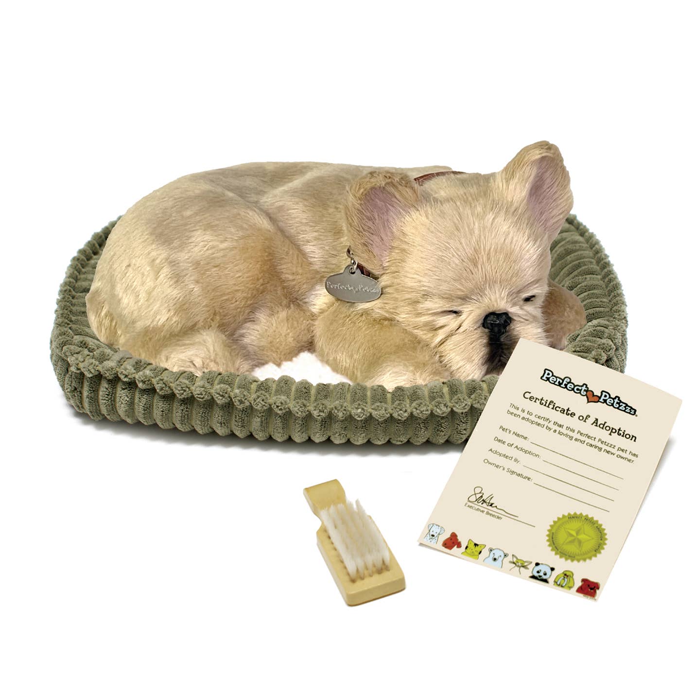 French Bulldog Large