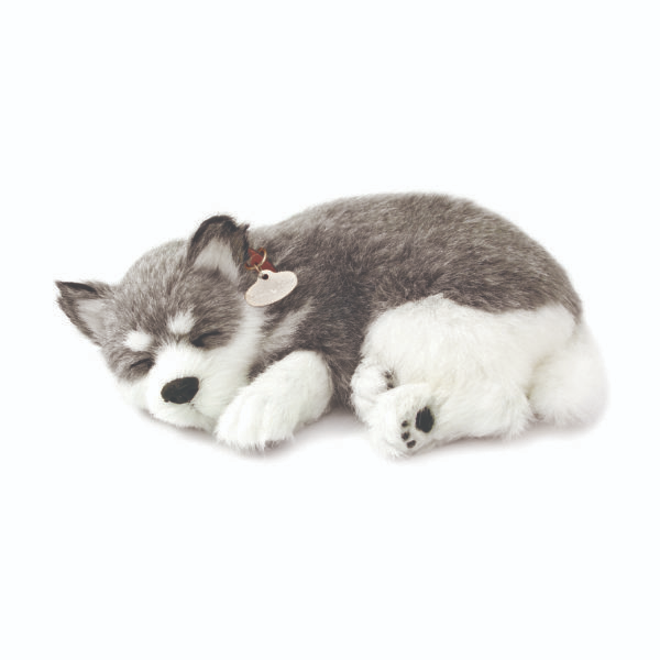 Perfect Petzzz - Alaskan Husky Large