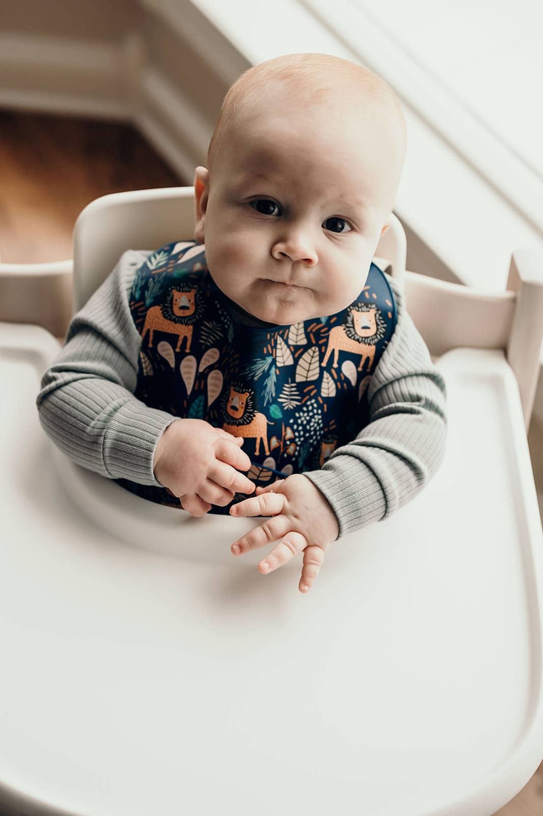 Three Little Tots -Zoo Lion Print Silicone Bib with Crumb Catcher