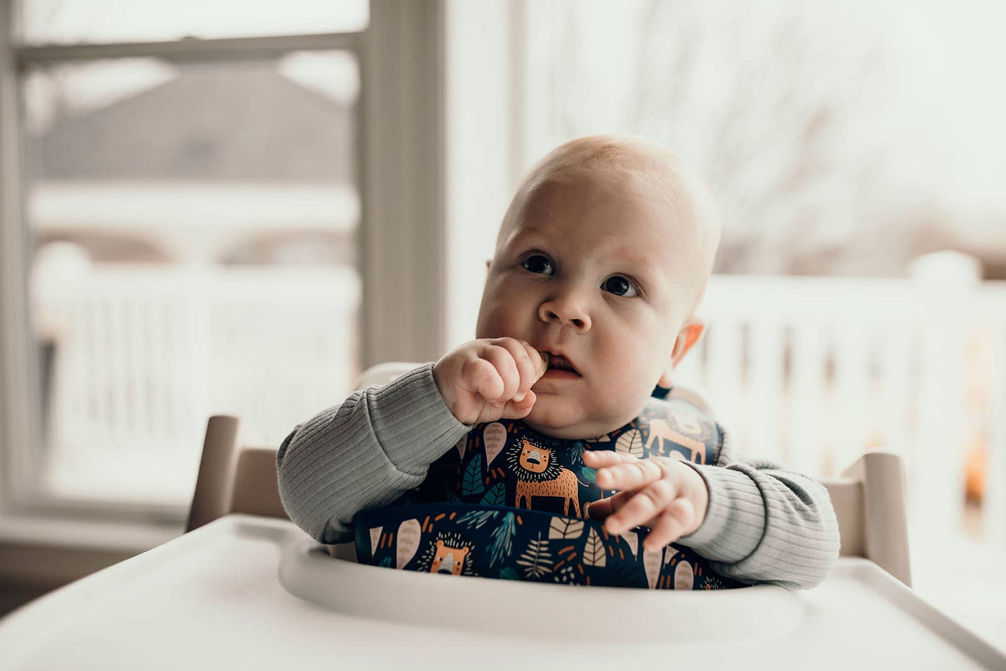 Three Little Tots -Zoo Lion Print Silicone Bib with Crumb Catcher