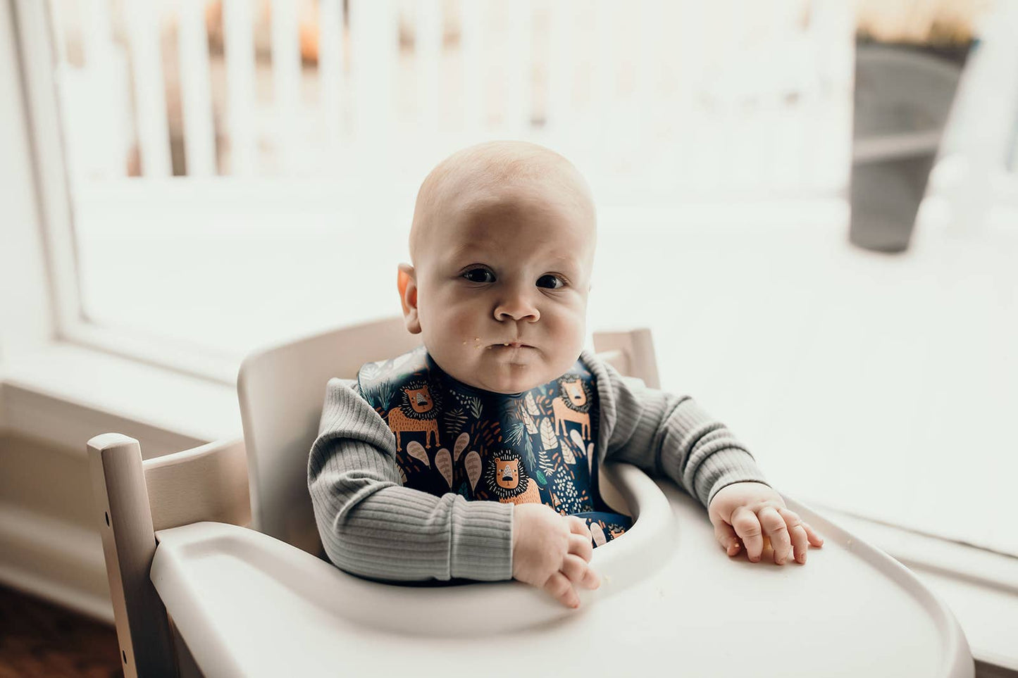Three Little Tots -Zoo Lion Print Silicone Bib with Crumb Catcher