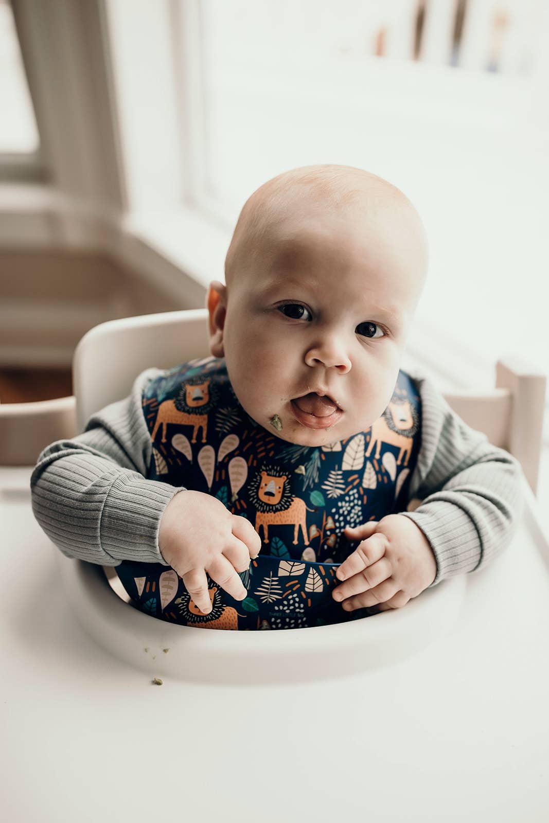 Three Little Tots -Zoo Lion Print Silicone Bib with Crumb Catcher