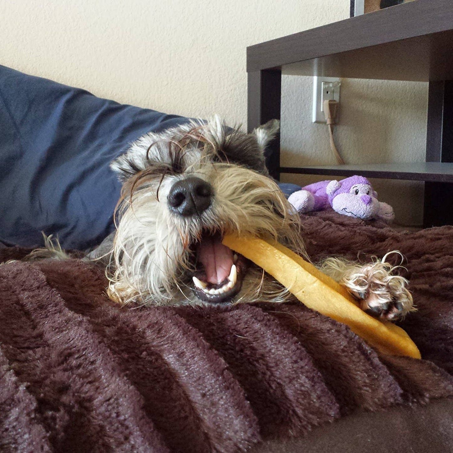 Gold Yak Dog Chews - 3 Pound Bag