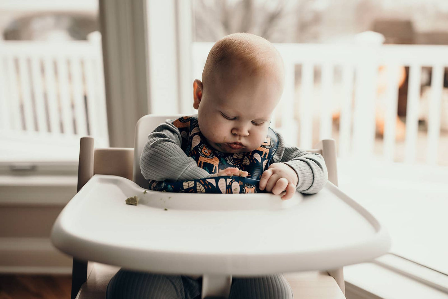 Three Little Tots -Zoo Lion Print Silicone Bib with Crumb Catcher