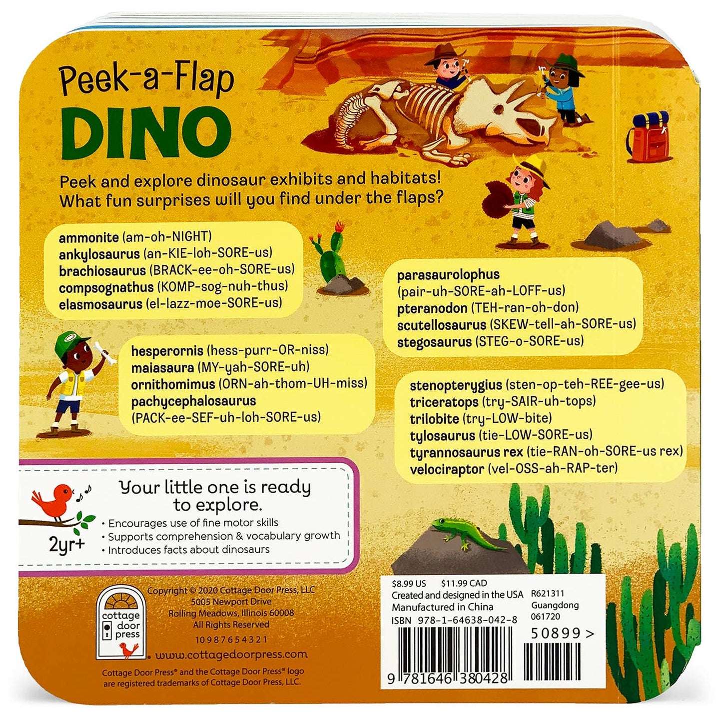 Dino Lift-a-Flap Dinosaur Novelty Board Book