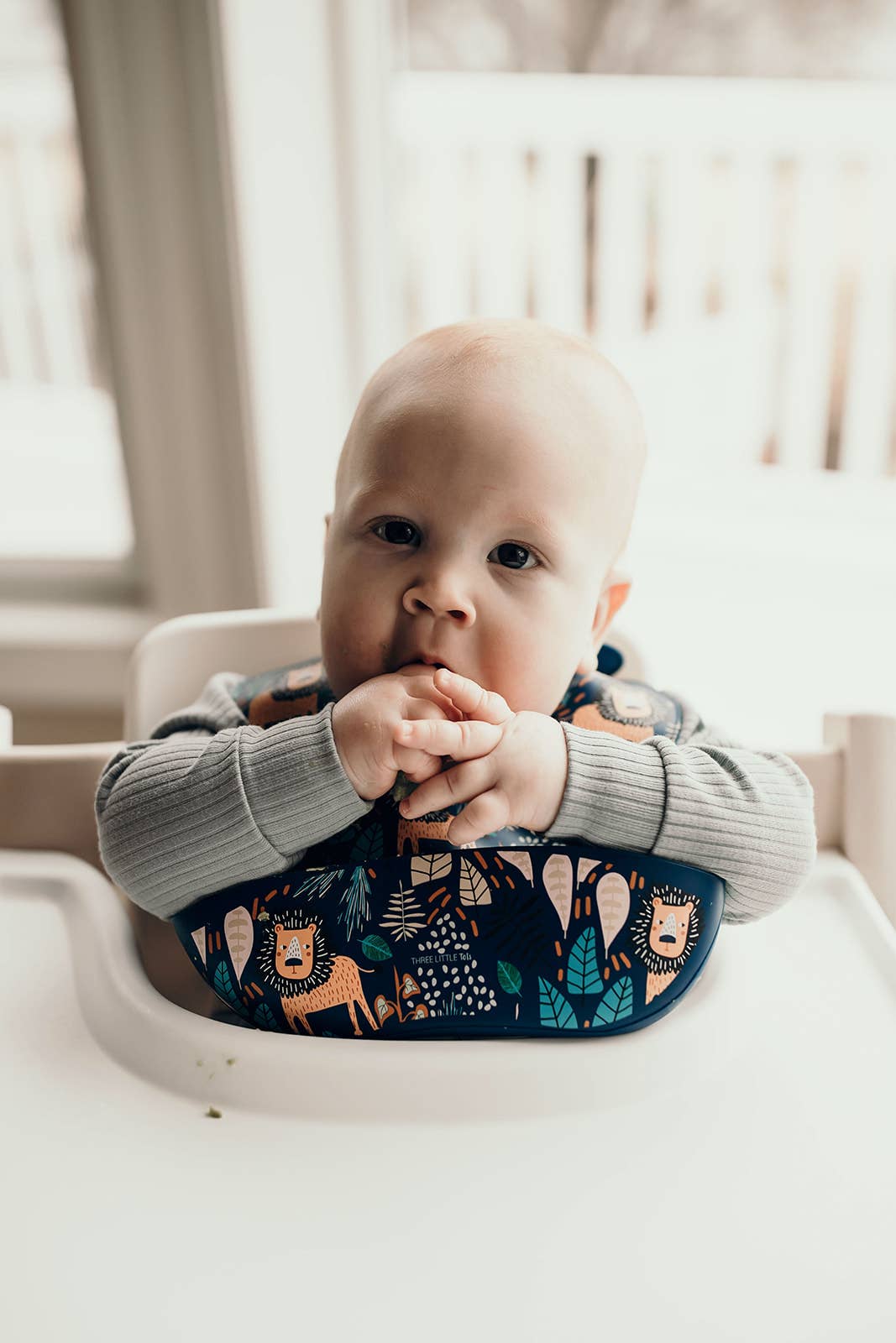 Three Little Tots -Zoo Lion Print Silicone Bib with Crumb Catcher