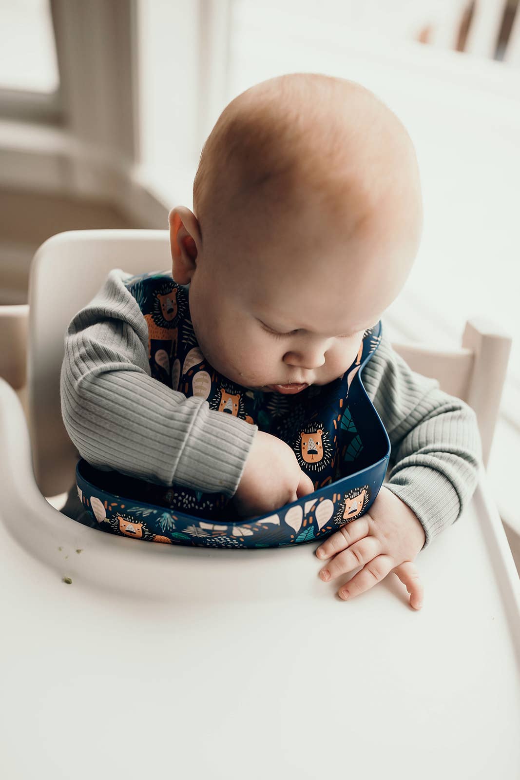 Three Little Tots -Zoo Lion Print Silicone Bib with Crumb Catcher