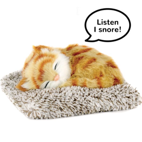 Mini 26 - Orange Tabby