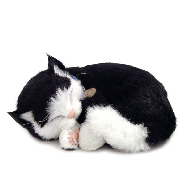 New Perfect Petzzz - B&W Shorthair Kitten Large