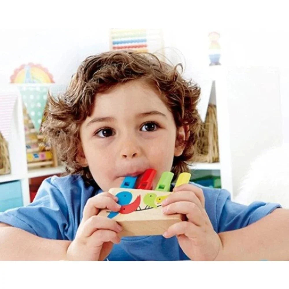 Hape Rainbow Pan Flute