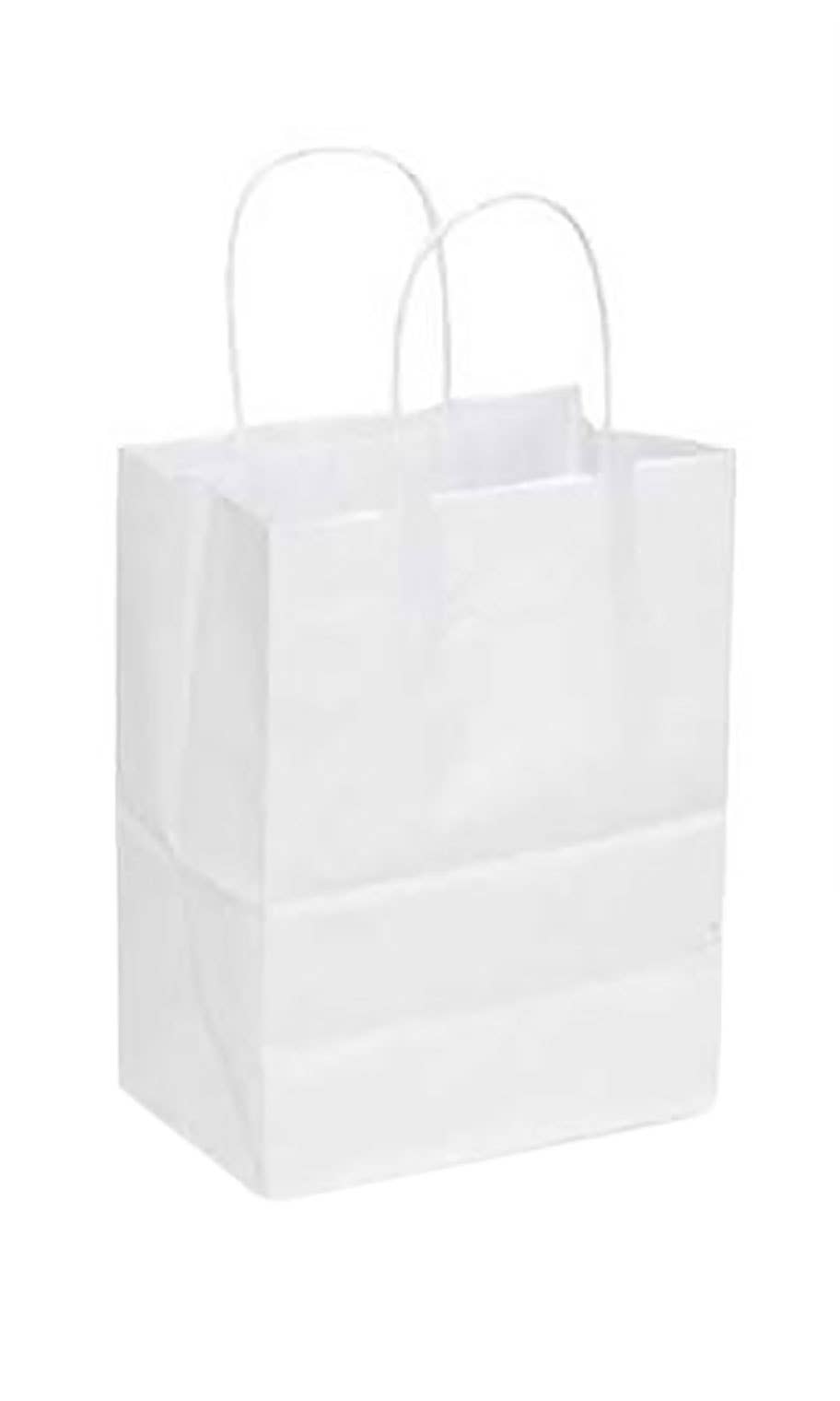 Kraft Paper Shopping Bags: Natural / Case of 250 / Medium