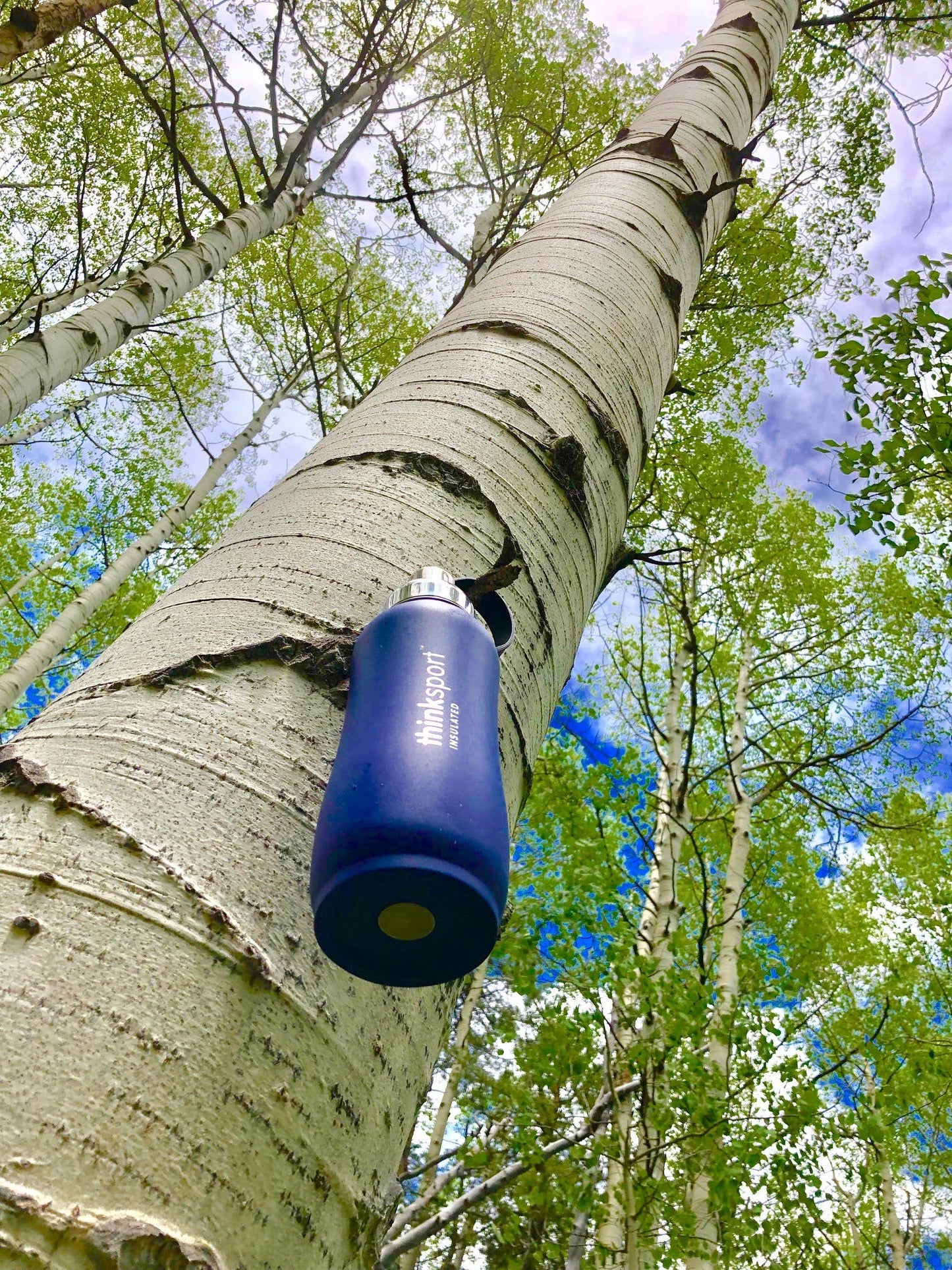 Insulated Sports Water Bottle - Coated Blue  17oz