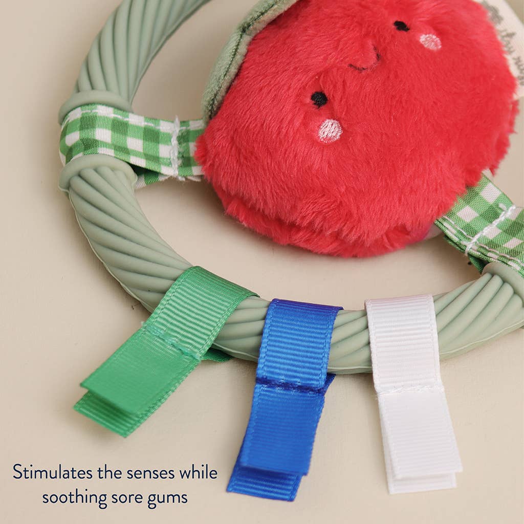 *NEW* Itzy Ring Pal™ - Teething Ring with Plush Character: Pink Kitty