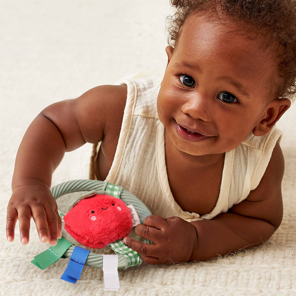*NEW* Itzy Ring Pal™ - Teething Ring with Plush Character: Pink Kitty