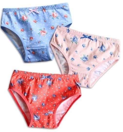 Flower Garden Girls Bikini Briefs 3 Pack Underwear: Red / S(2T)
