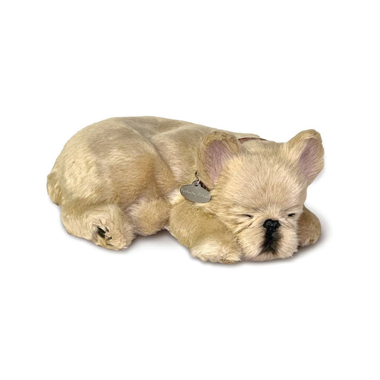French Bulldog Large