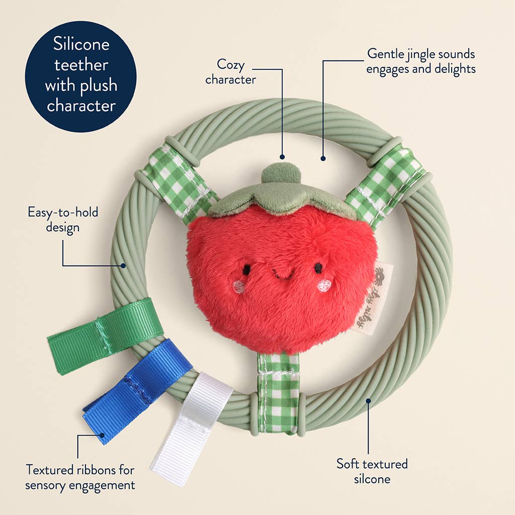 *NEW* Itzy Ring Pal™ - Teething Ring with Plush Character: Pink Kitty