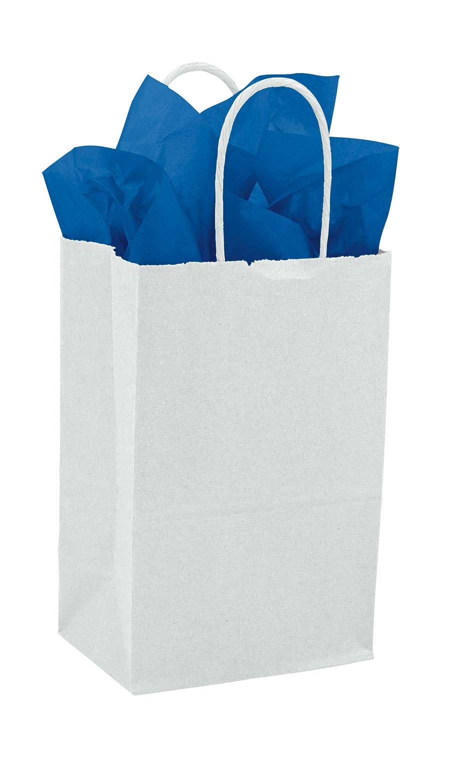 Kraft Paper Shopping Bags: Natural / Case of 250 / Medium