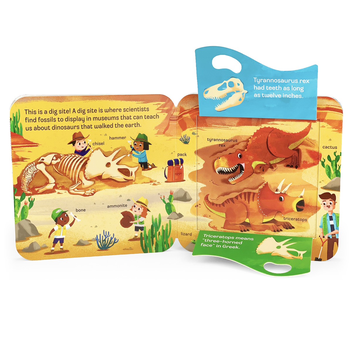 Dino Lift-a-Flap Dinosaur Novelty Board Book