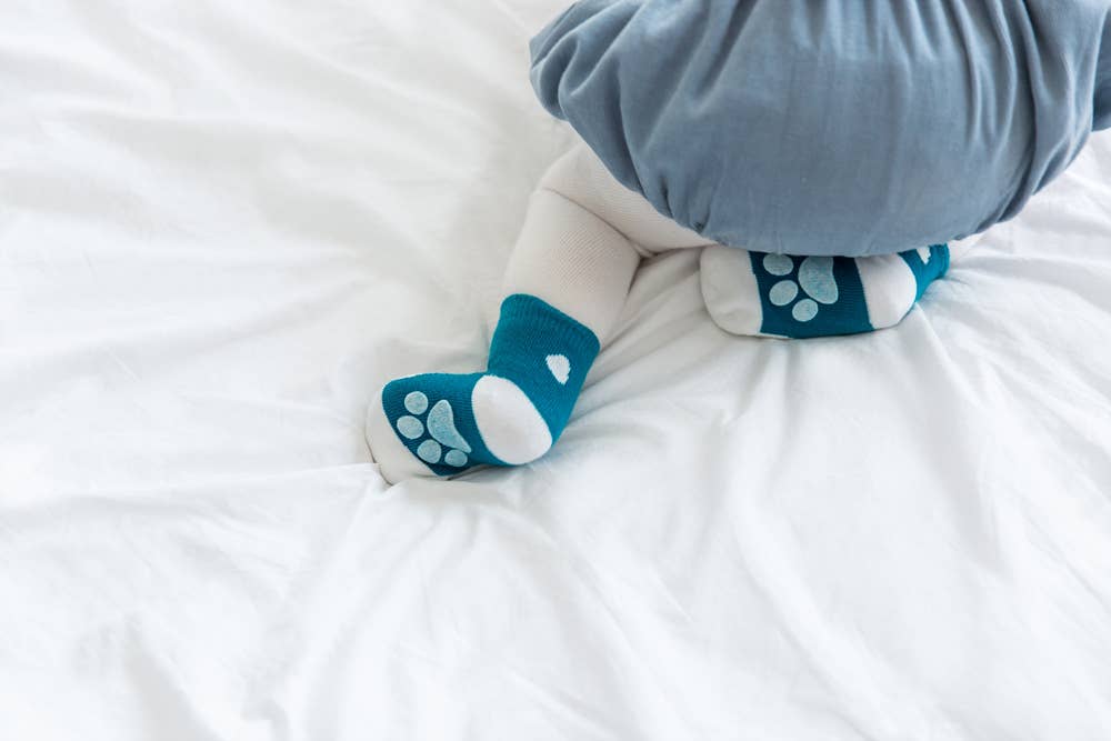 Zoo Socks Polar Bear Baby Animal: Blue / S (18M~3T)