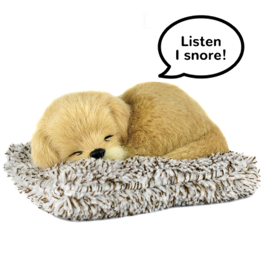 Mini 01 - Golden Retriever