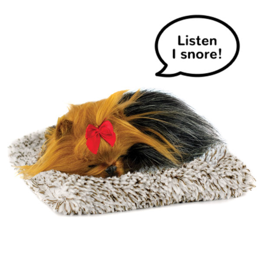 Mini 08 - Yorkie