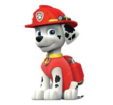 Water Blaster Paw Patrol, Bluey, TMNT!