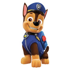Water Blaster Paw Patrol, Bluey, TMNT!