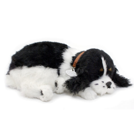 New Perfect Petzzz - Cocker Spaniel Large