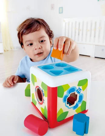 Hape Shape Sorting Box